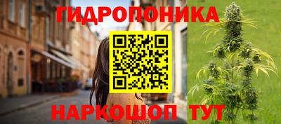 мяу мяу мука Лесосибирск