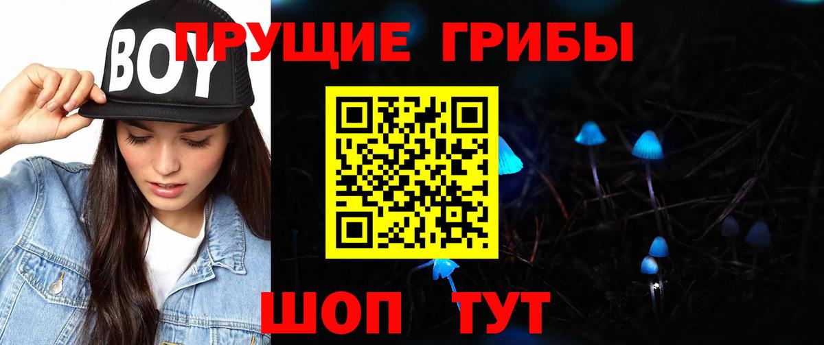 Казань  Псилоцибиновые грибы Cubensis  Вход с VPN  Псилоцибиновые грибы Psilocybe 